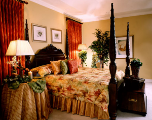 Indian Hotel Industry