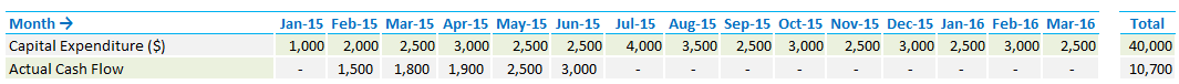 Cash Flow Forecast