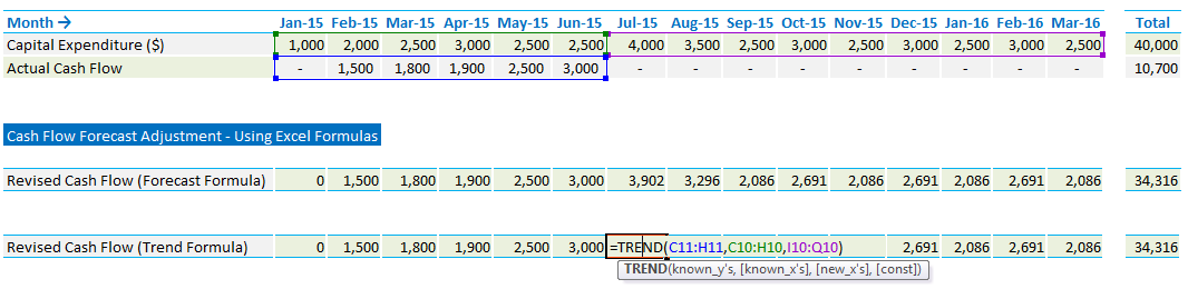 Cash Flow Forecast