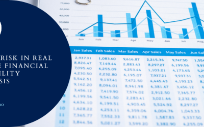 Excel Risk in Real Estate Financial Feasibility Analysis