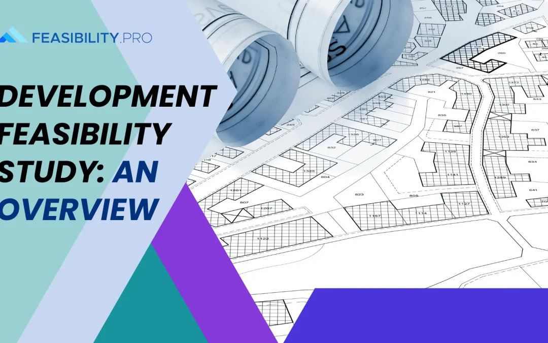 Development Feasibility Study: An Overview