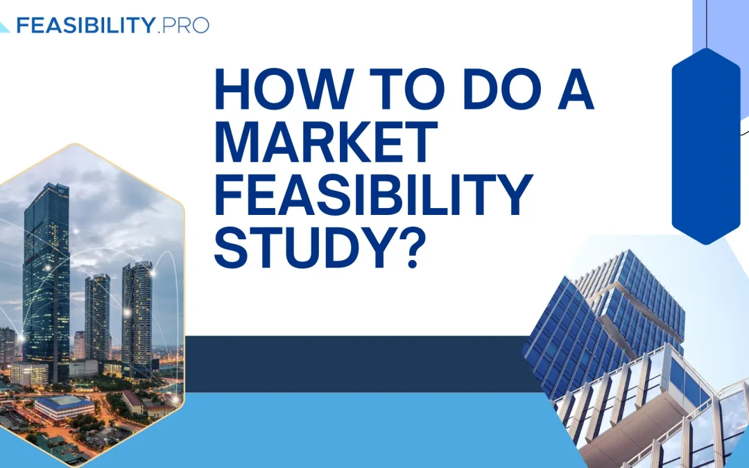 market feasibility study
