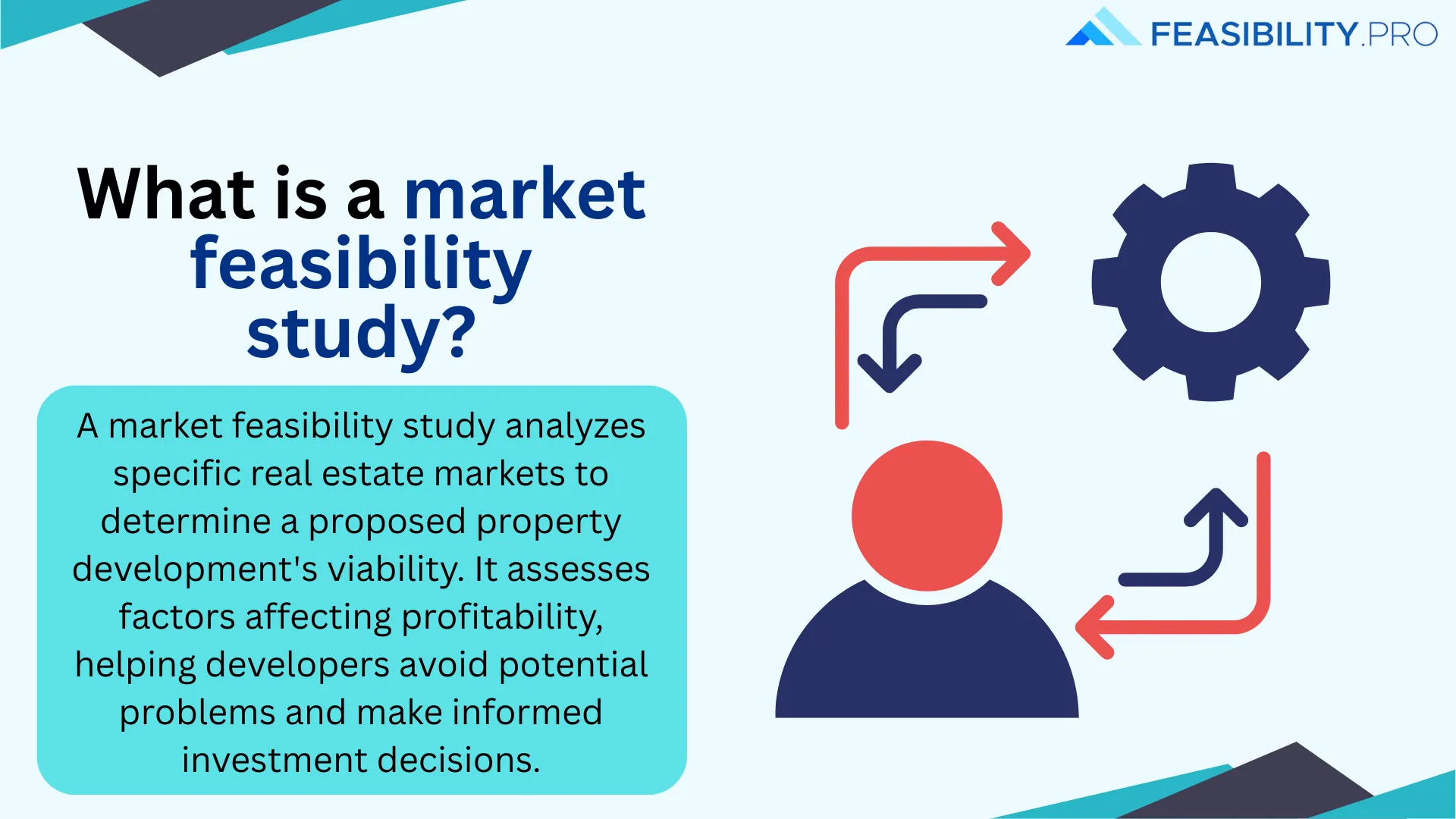 market feasibility study