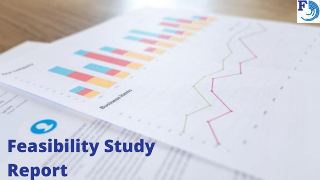 How to do a Feasibility Study Report?